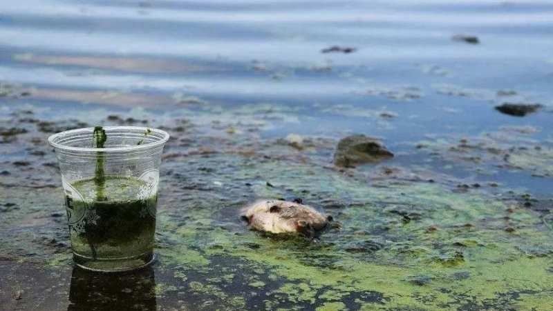 廢水中污染物種類(lèi)處理方法