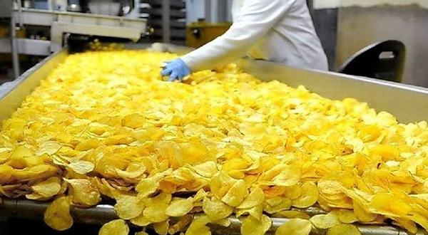 中小型食品廠(chǎng)廢水如何處理-污水處理流程-樂(lè )中環(huán)保