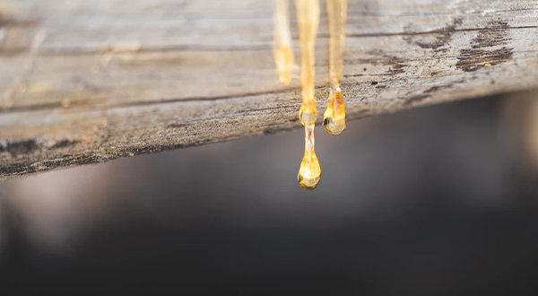 合成樹(shù)脂化工廠(chǎng)污水處理方法及原理分析-樂(lè )中環(huán)保